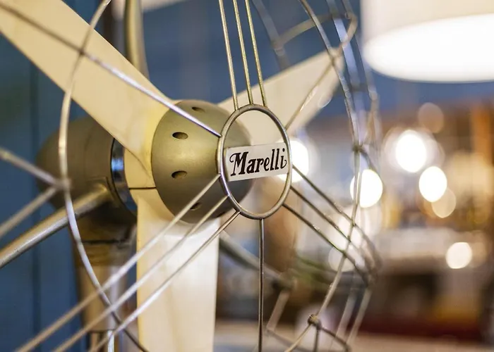 Ibis Styles فندق تراني